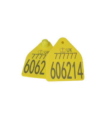 Cattle Replacement Single