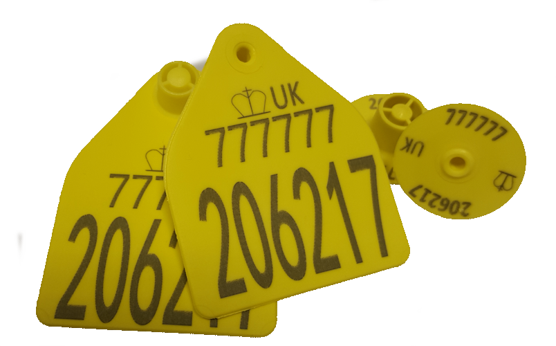 EID Cattle Tags Are Becoming Mandatory in 2027. Don't Get Caught Out.