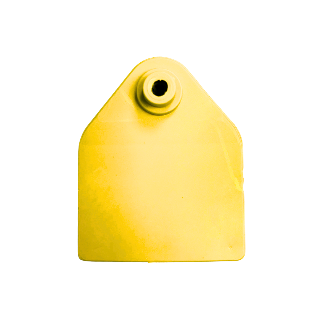 Site Tag