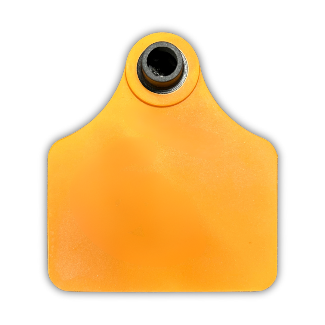 RFID Rigid Tag (HF)