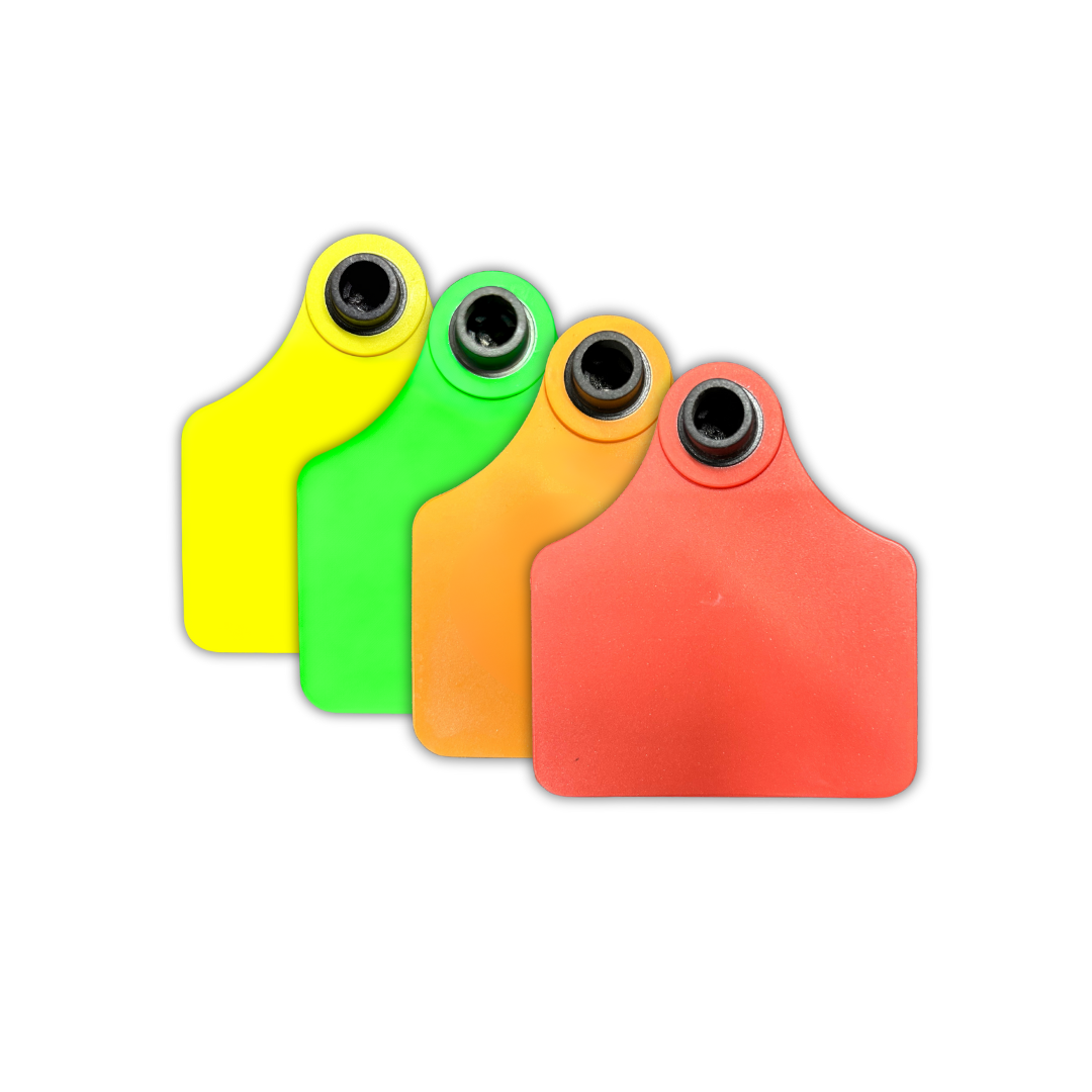 RFID Rigid Tag (HF)