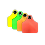 RFID Rigid Tag (HF)