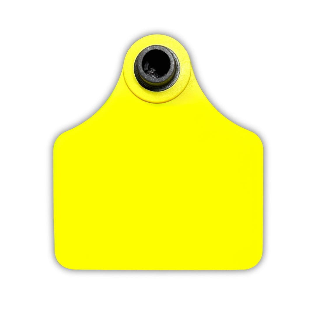 RFID Rigid Tag (HF)