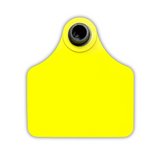 RFID Rigid Tag (HF)